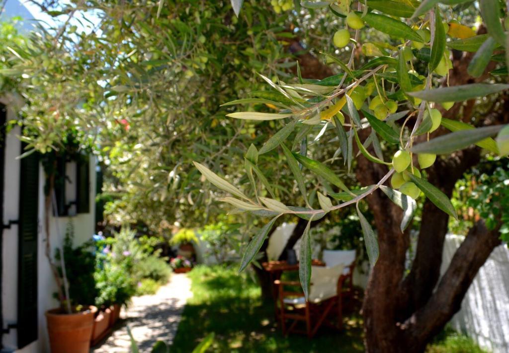 Regina Villa Kalo Chorio  Exterior photo